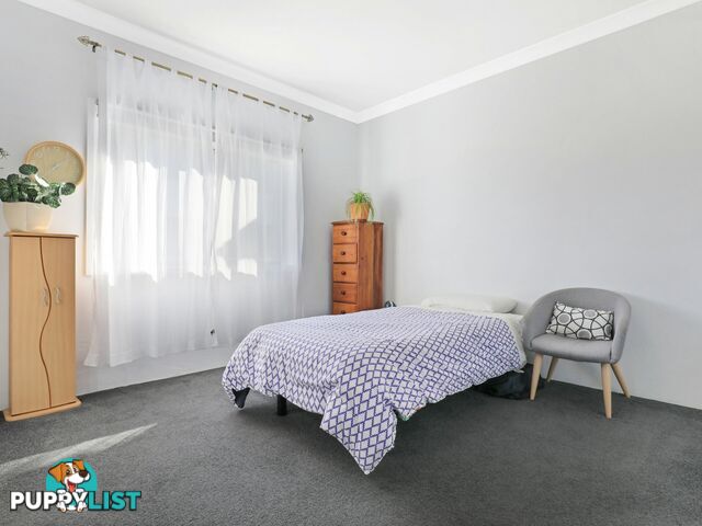 19/225-231 Princes Highway CORRIMAL NSW 2518
