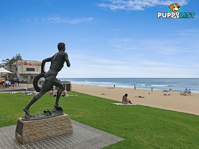 10/41-43 Bourke Street NORTH WOLLONGONG NSW 2500