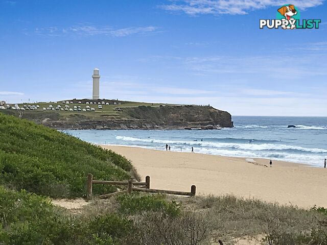 10/41-43 Bourke Street NORTH WOLLONGONG NSW 2500