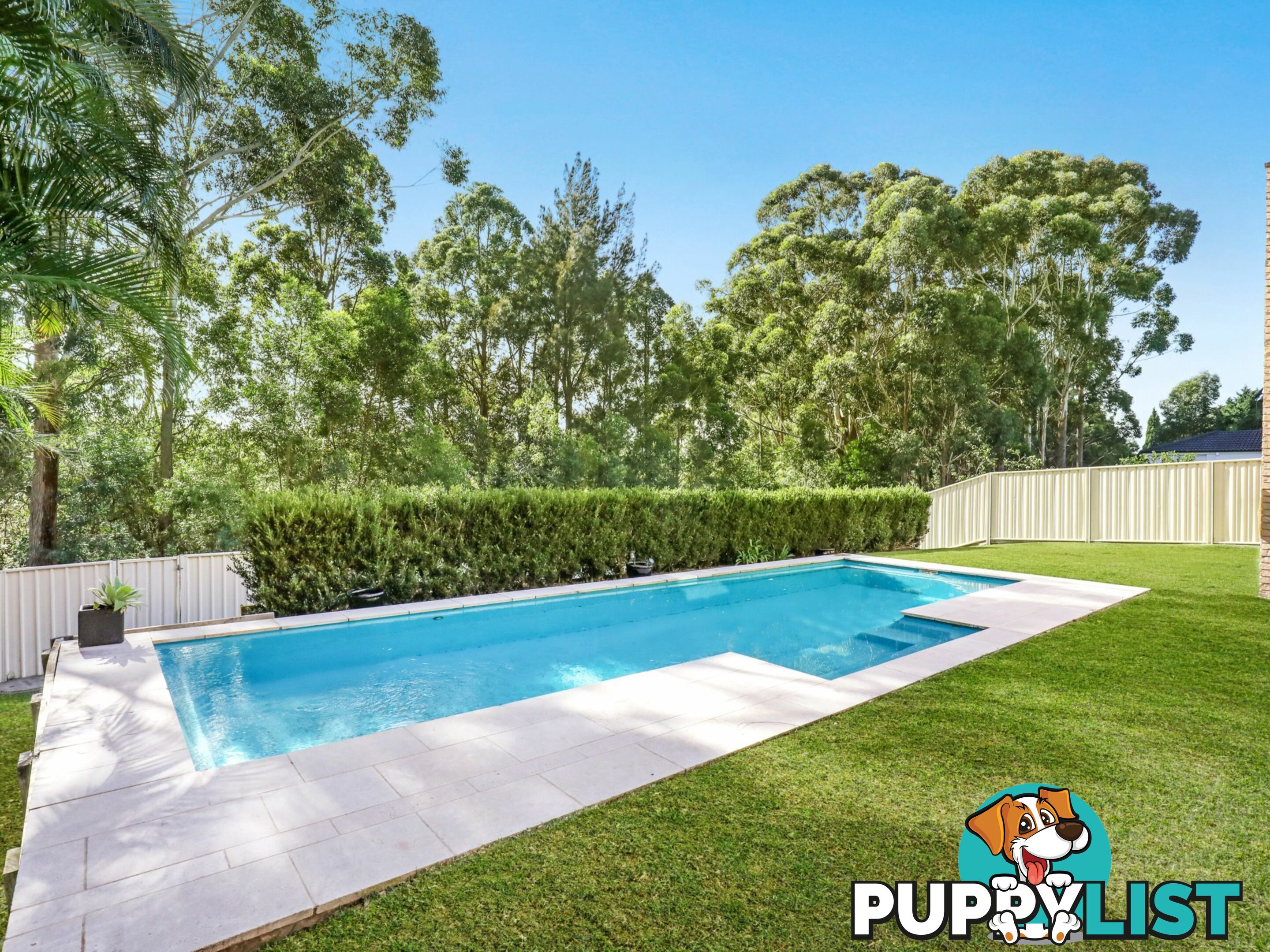 97 Midgley Street CORRIMAL NSW 2518