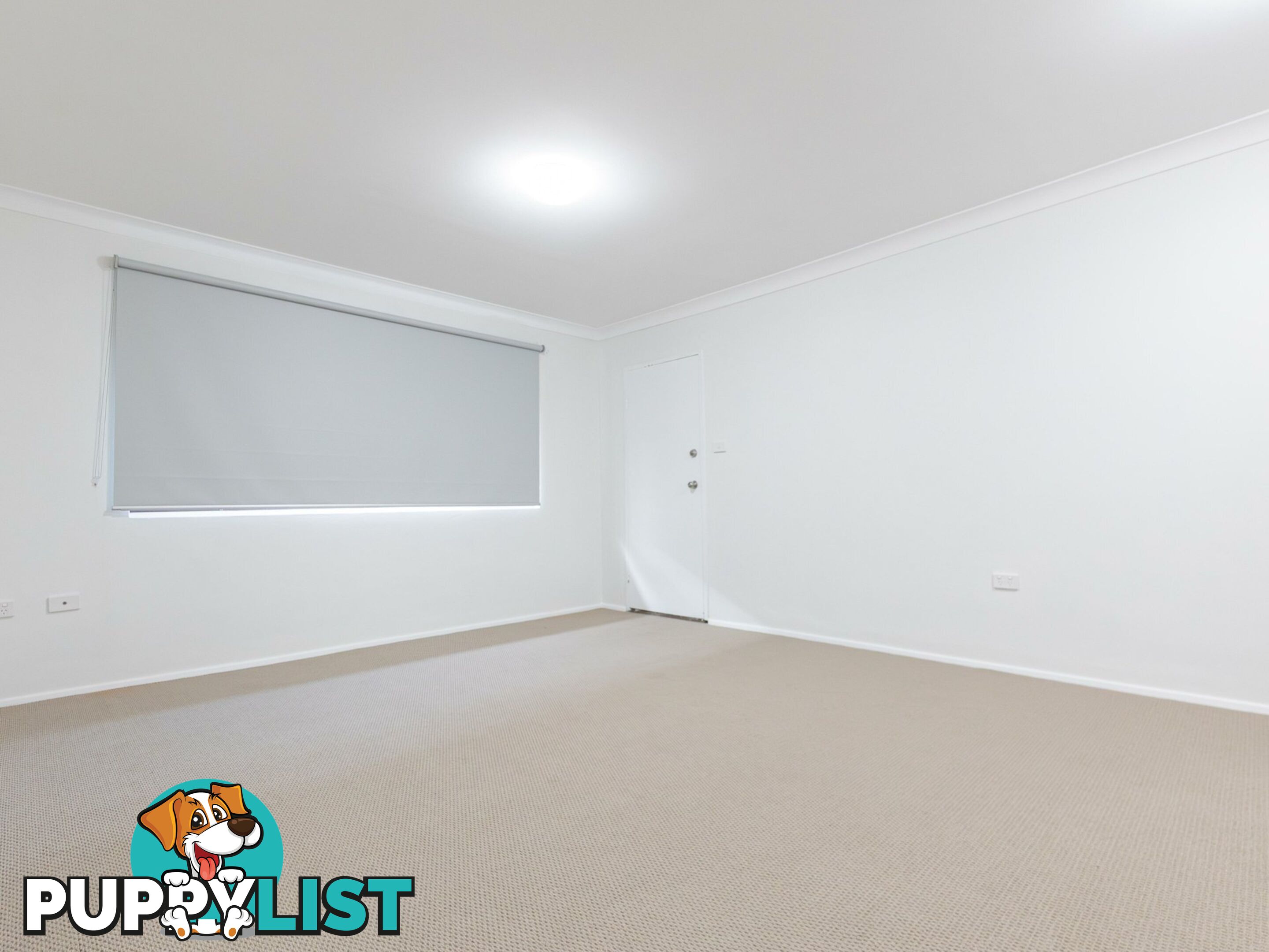 4/24 Matthews Street WOLLONGONG NSW 2500