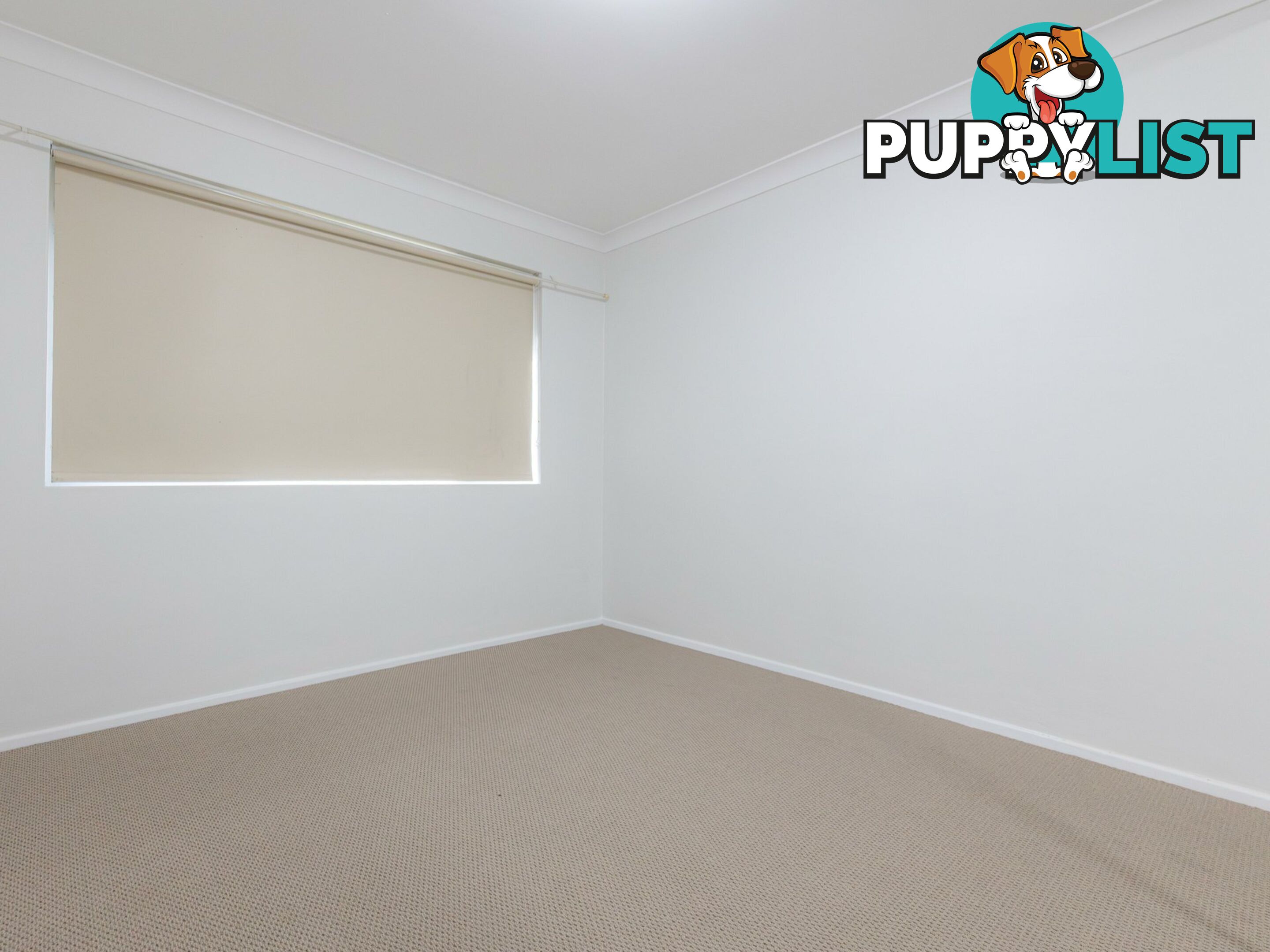 4/24 Matthews Street WOLLONGONG NSW 2500
