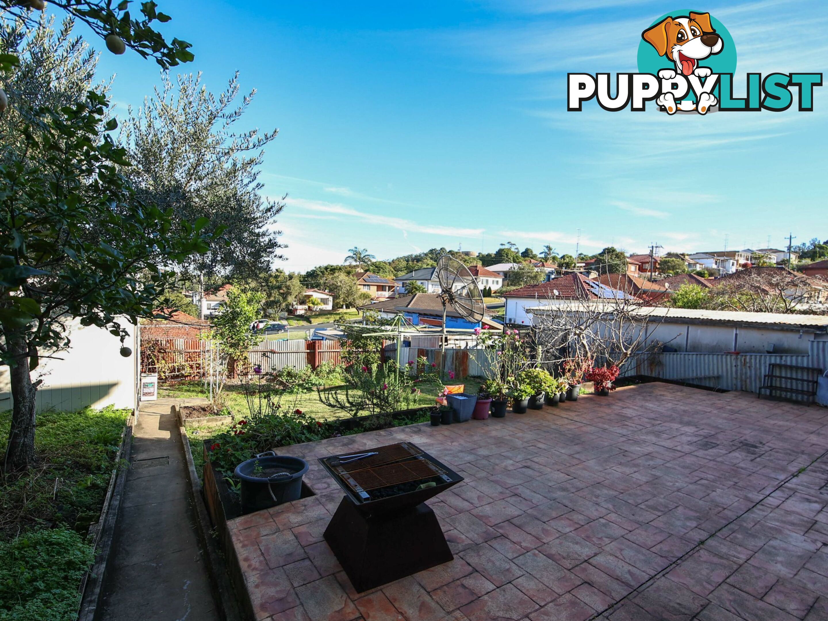 25 Dorman Street CRINGILA NSW 2502