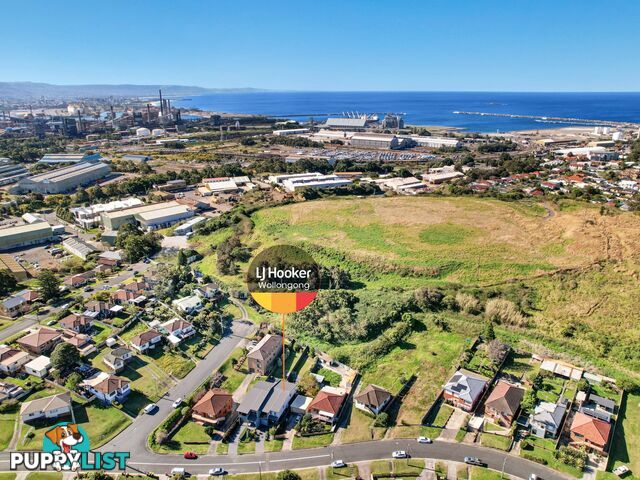 74A Robertson Street PORT KEMBLA NSW 2505