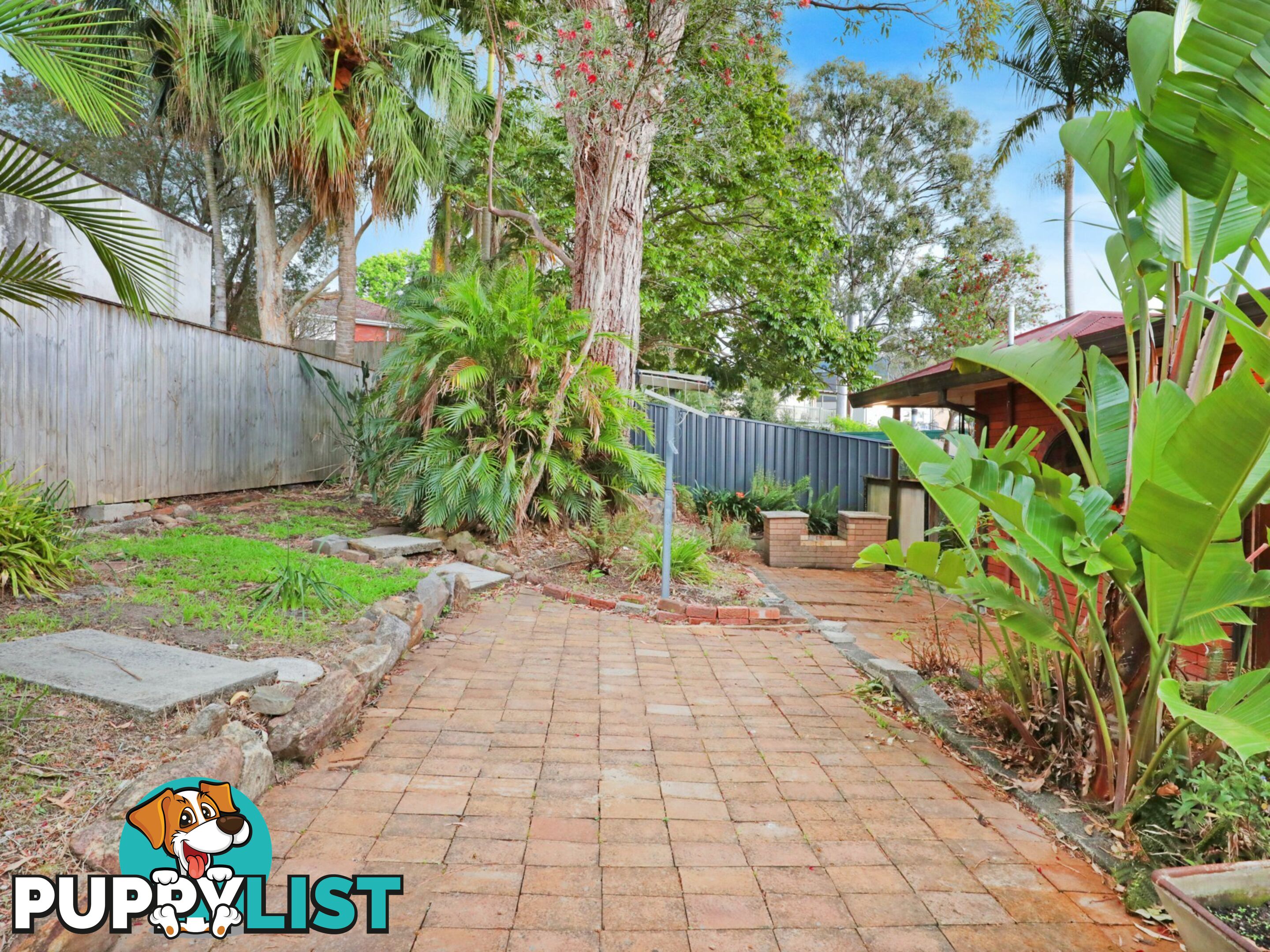 8 Helicia Ave FIGTREE NSW 2525