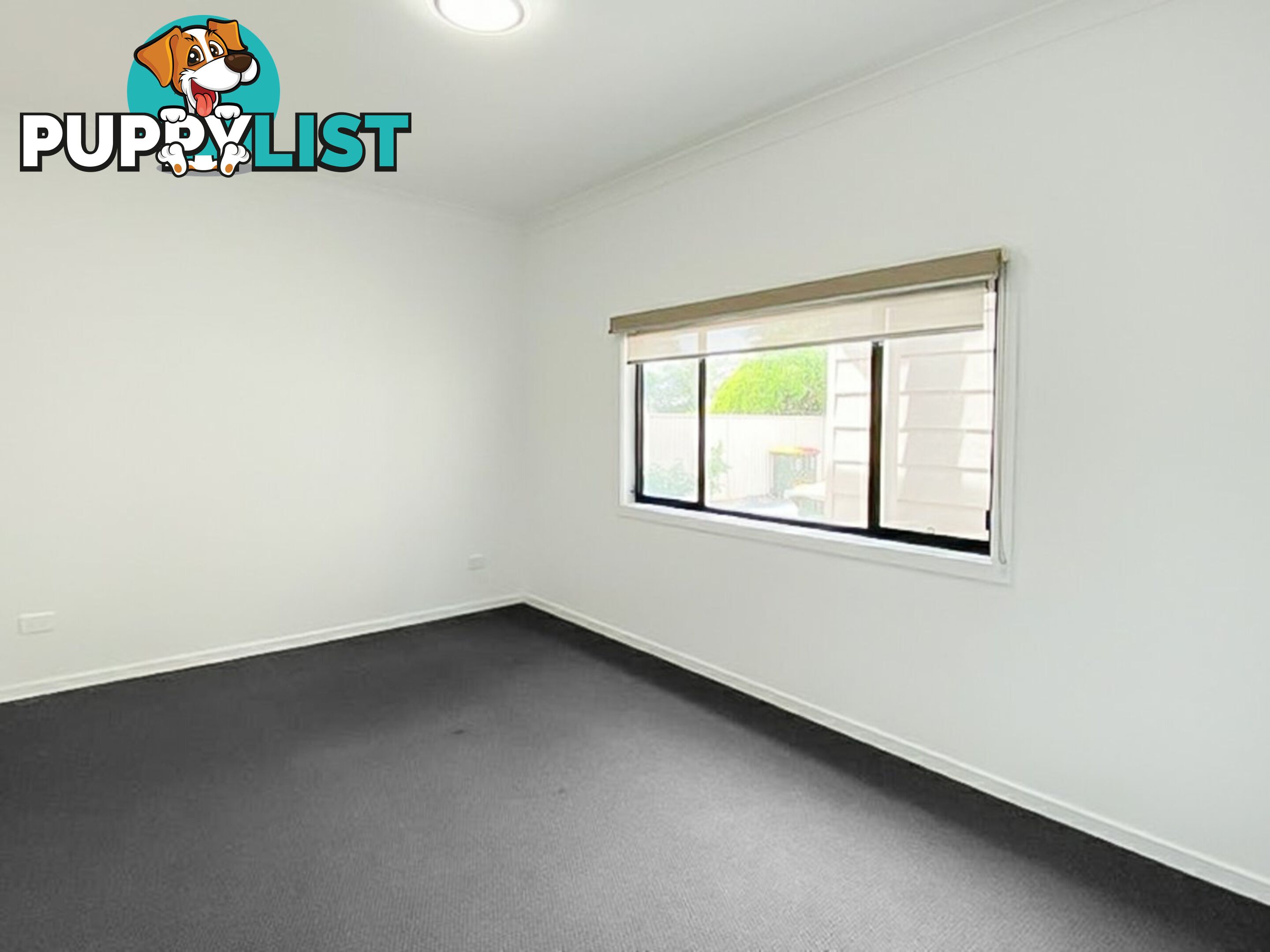 1/6 Windang Street ALBION PARK RAIL NSW 2527