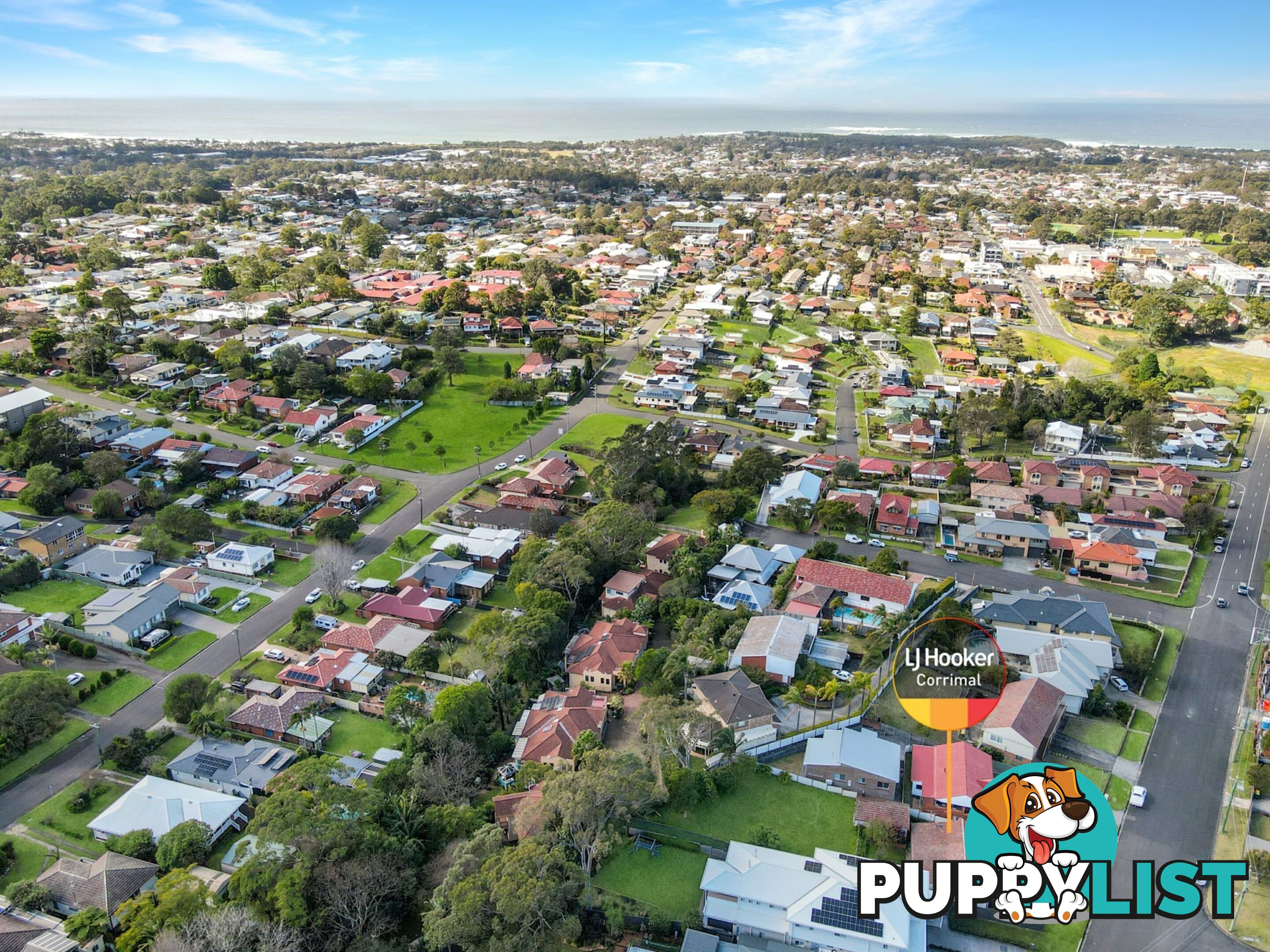 64 Francis Street CORRIMAL NSW 2518