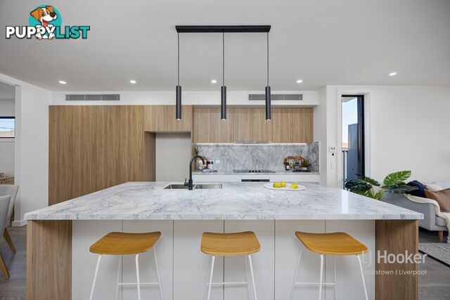 38 Beemera Street FAIRFIELD HEIGHTS NSW 2165