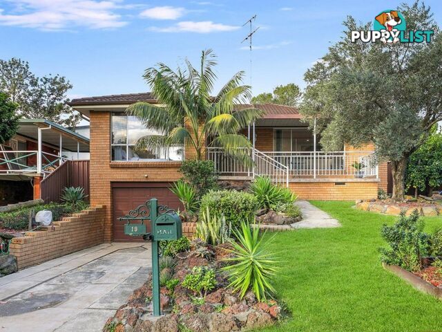 19 Whitemore Avenue GEORGES HALL NSW 2198