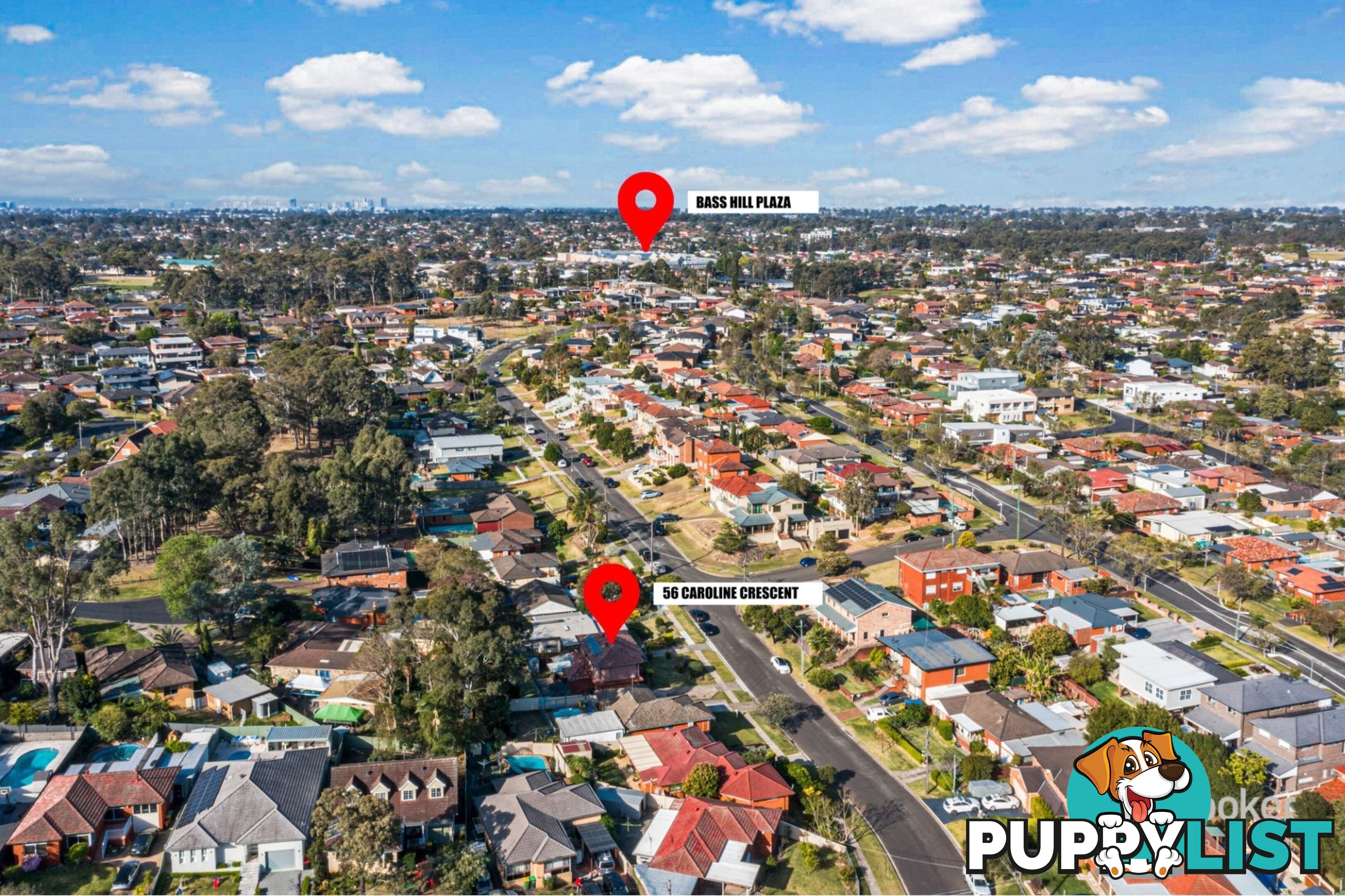 56 Caroline Crescent GEORGES HALL NSW 2198