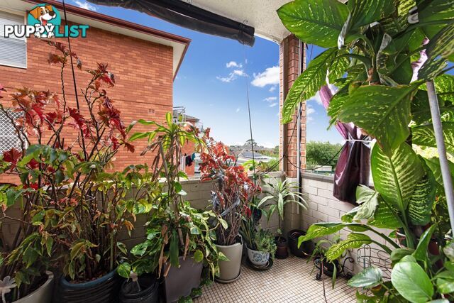 2/24 Shadforth Street WILEY PARK NSW 2195