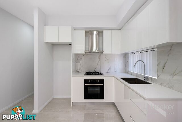 61a Marion st BANKSTOWN NSW 2200