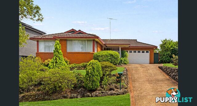 62 Amaroo Avenue GEORGES HALL NSW 2198