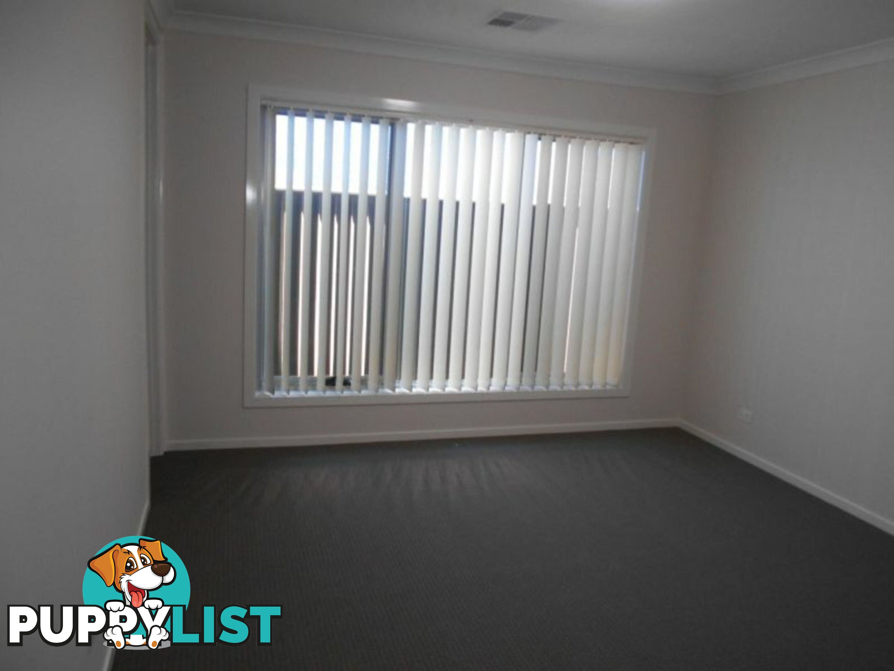 58 Baden Powell Avenue LEPPINGTON NSW 2179