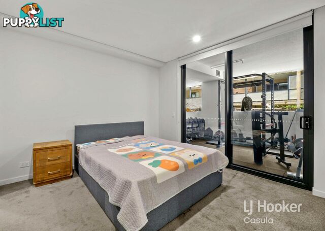 4/17 Goulburn Street LIVERPOOL NSW 2170