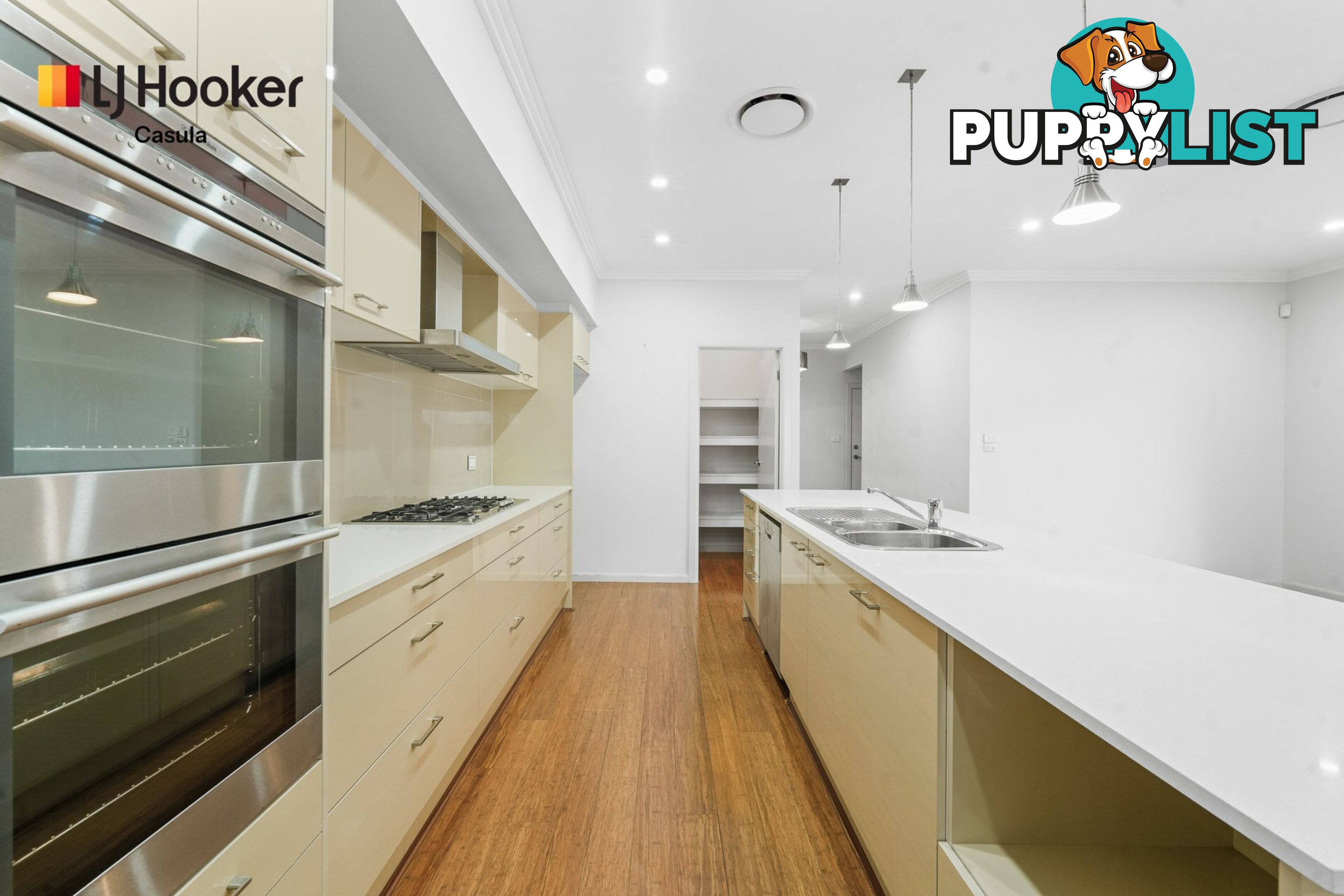 8 Lancaster Street GREGORY HILLS NSW 2557