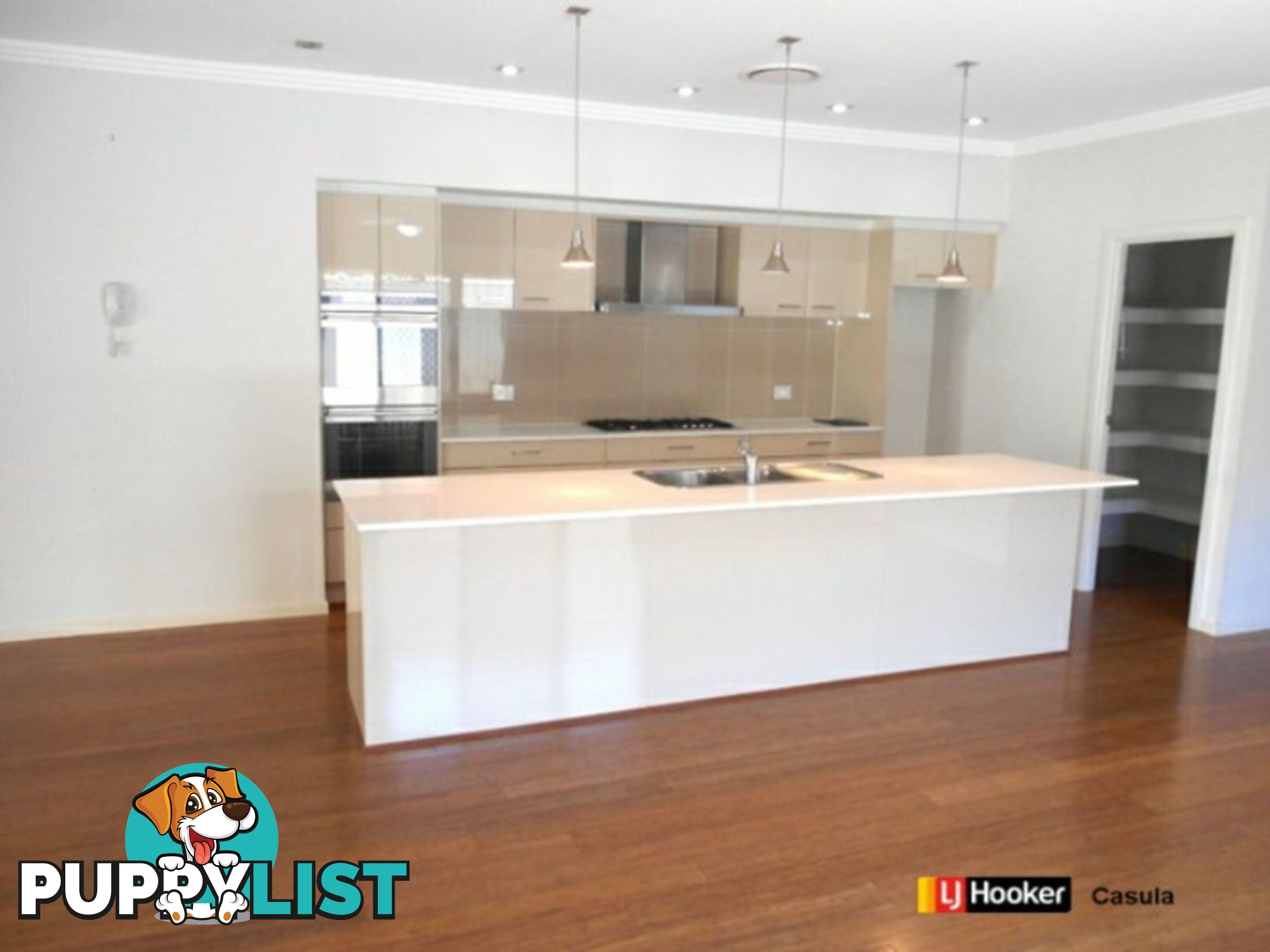 8 Lancaster Street GREGORY HILLS NSW 2557