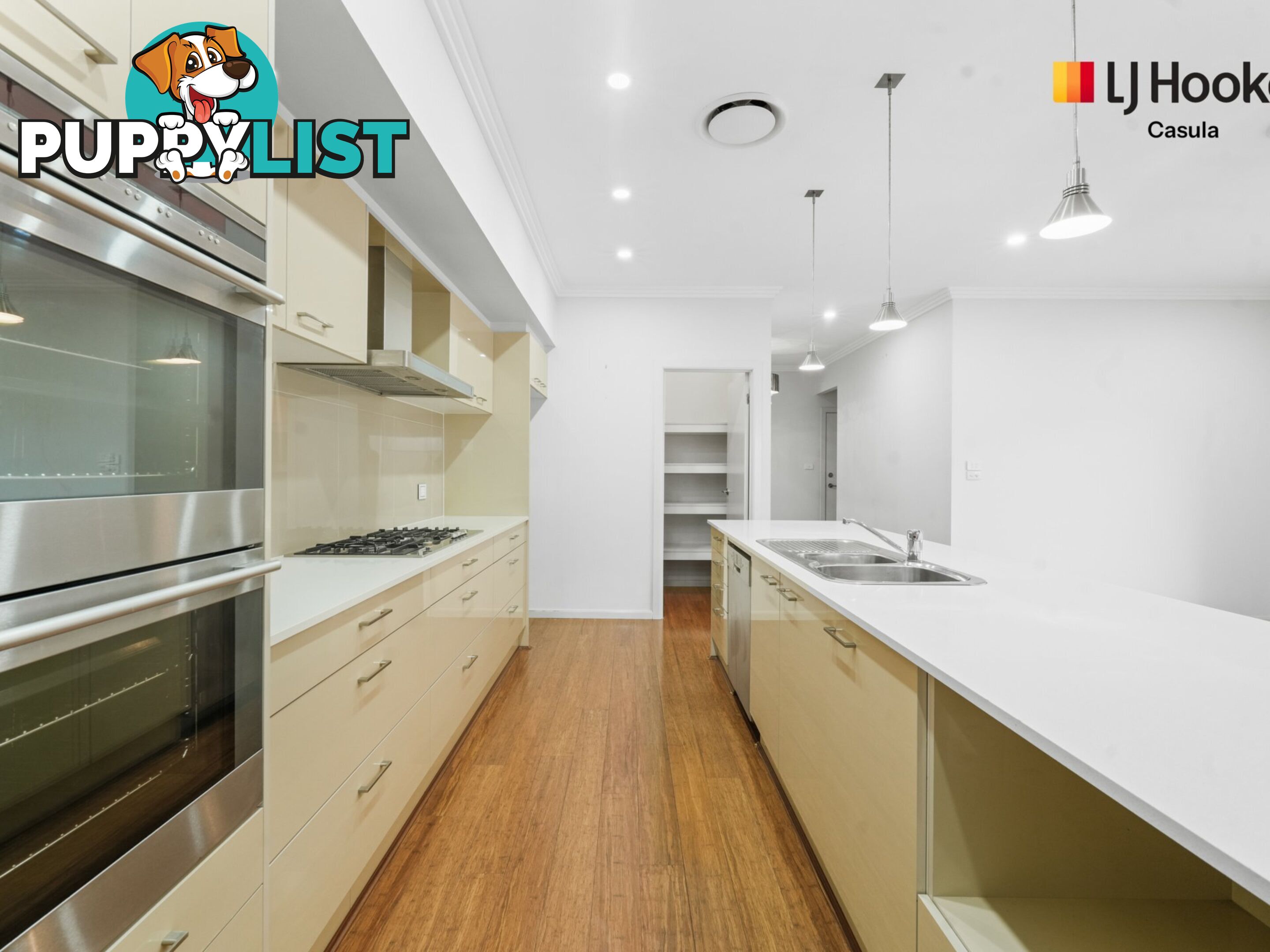 8 Lancaster Street GREGORY HILLS NSW 2557