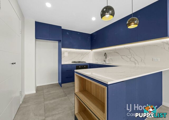 41/51-55 Hutton Road EDMONDSON PARK NSW 2174