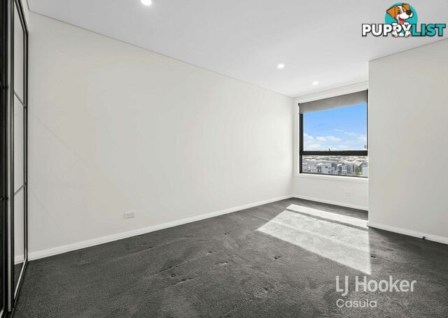 41/51-55 Hutton Road EDMONDSON PARK NSW 2174