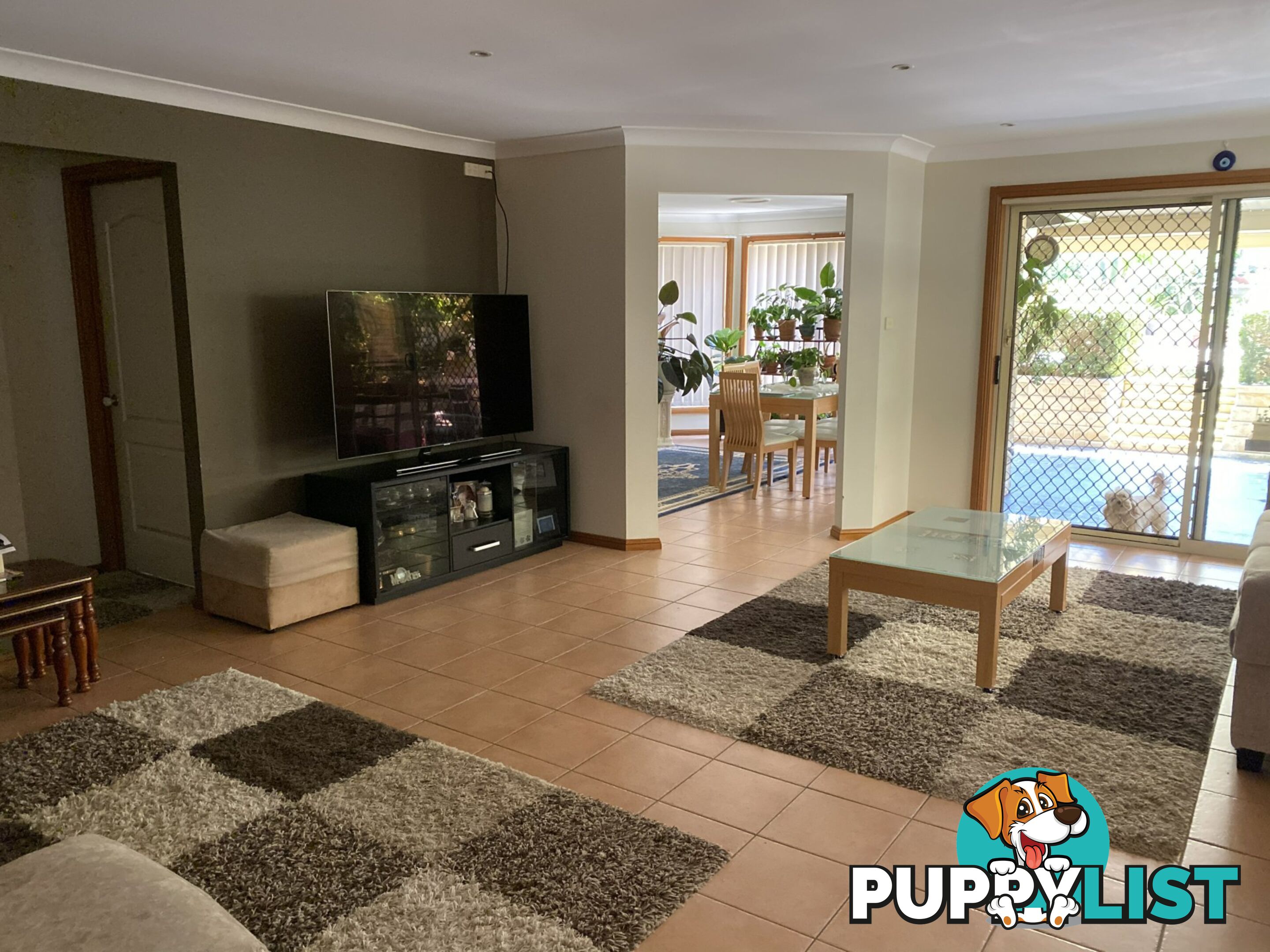 3 Watling Avenue WEST HOXTON NSW 2171