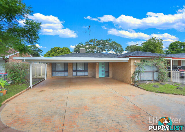 41 Karuah Street DOONSIDE NSW 2767