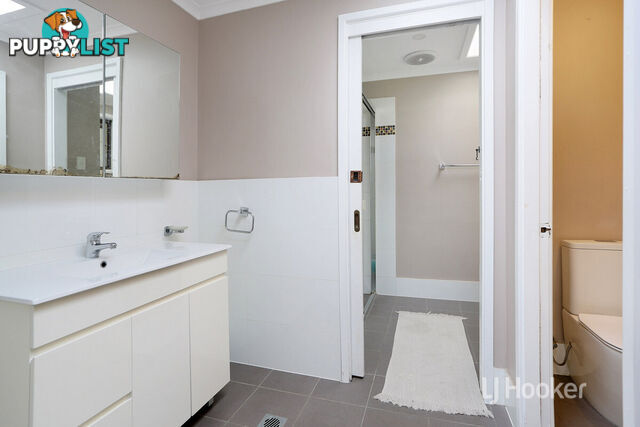41 Karuah Street DOONSIDE NSW 2767