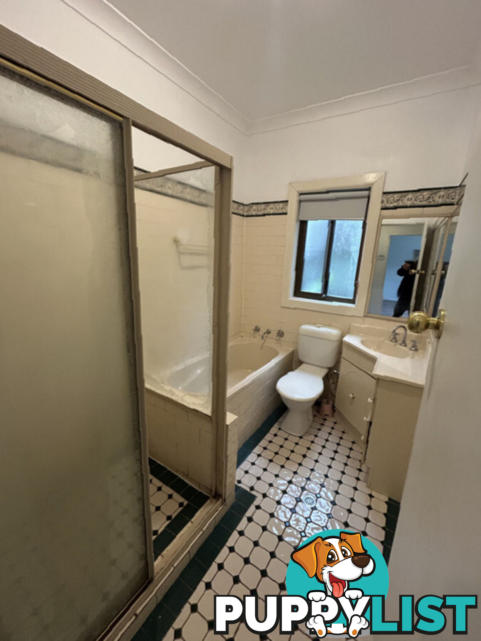 8 Yvonne Street SEVEN HILLS NSW 2147