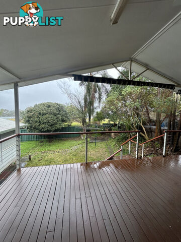 8 Yvonne Street SEVEN HILLS NSW 2147