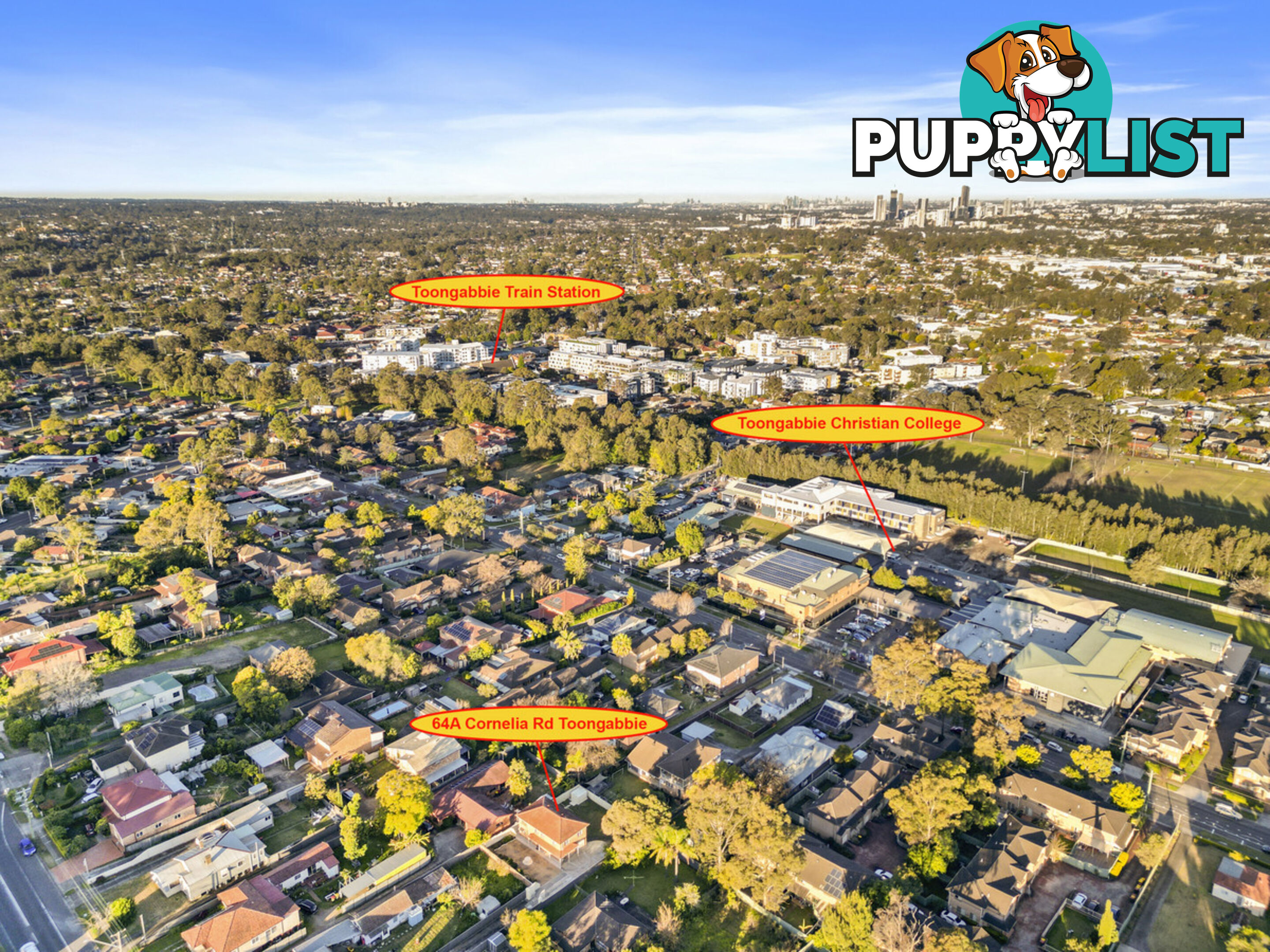 64a Cornelia Road TOONGABBIE NSW 2146