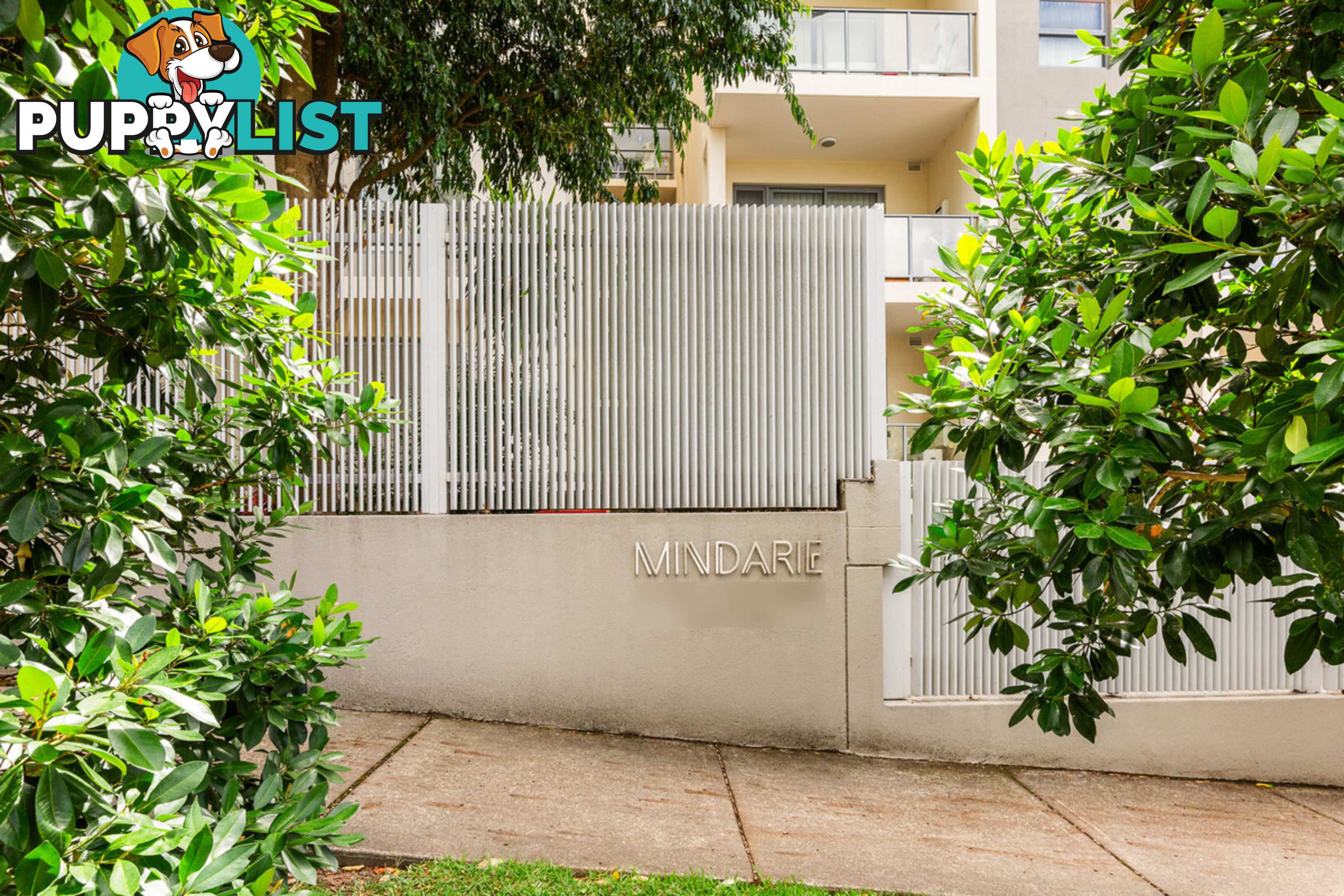 19/31 Mindarie Street LANE COVE NORTH NSW 2066