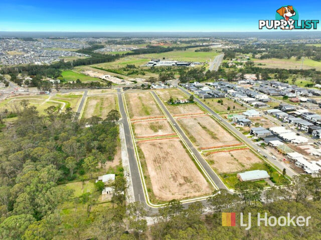 Showers St, Paceville St & Gillespie GRANTHAM FARM NSW 2765