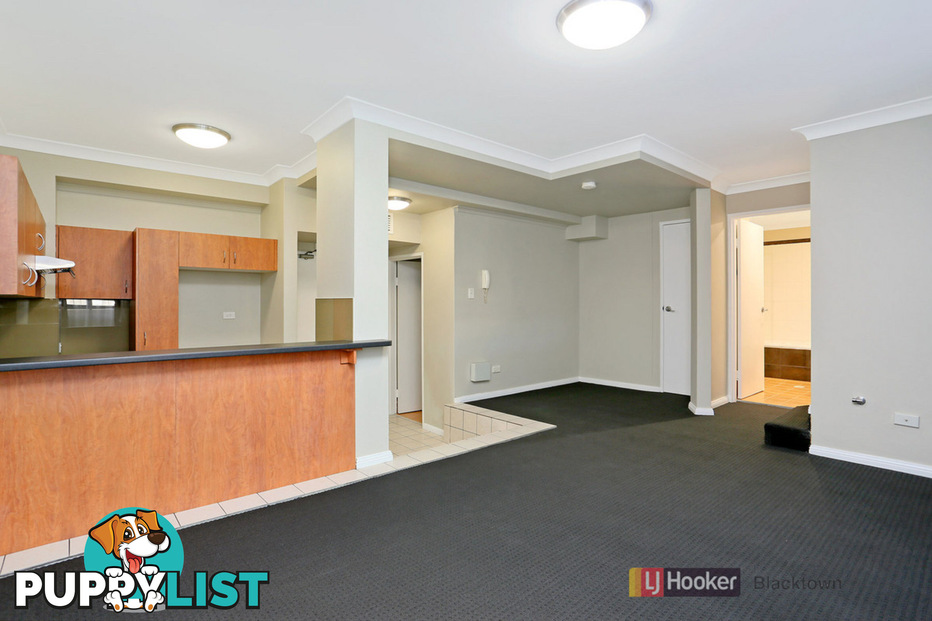 20/21-29 Third Avenue BLACKTOWN NSW 2148