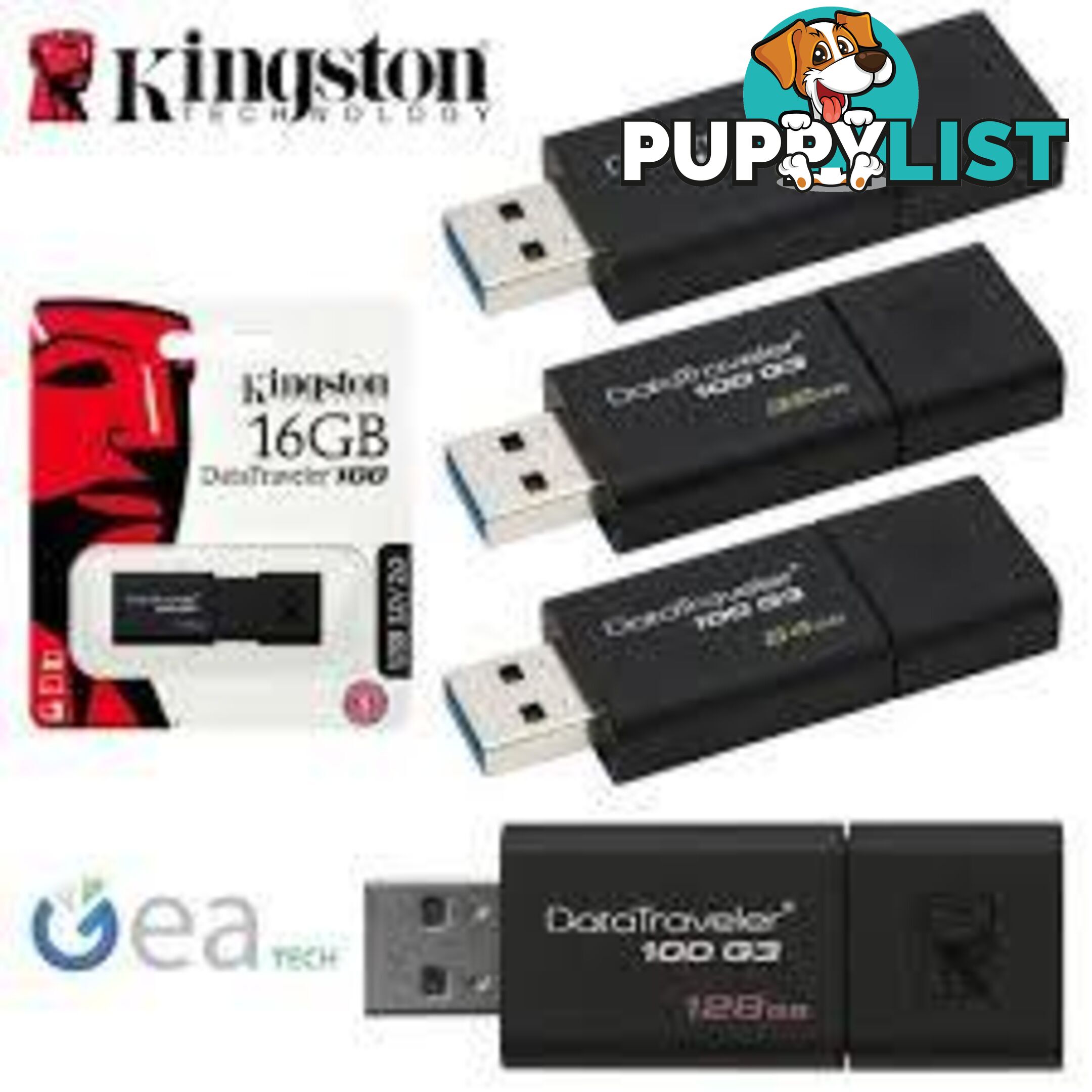 Kingston USB Drive - DT100G3-128GB - External Storage Device