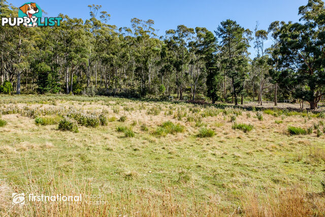 Lot 3, 10 Cloudy Bay Road LUNAWANNA TAS 7150