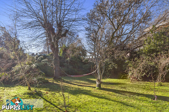 44 Fitzroy Place DYNNYRNE TAS 7005