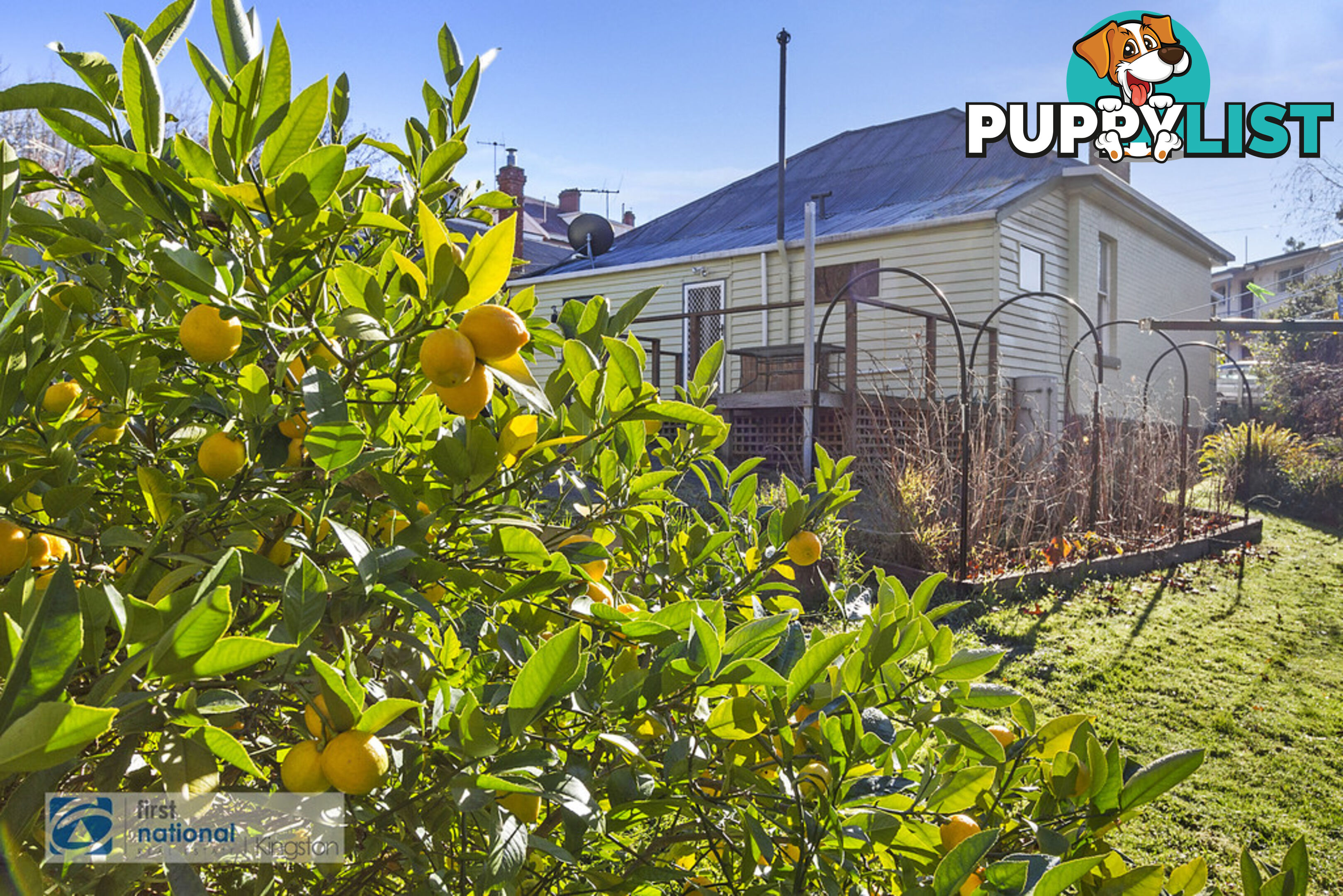 44 Fitzroy Place DYNNYRNE TAS 7005