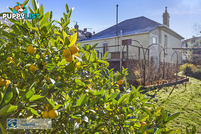 44 Fitzroy Place DYNNYRNE TAS 7005