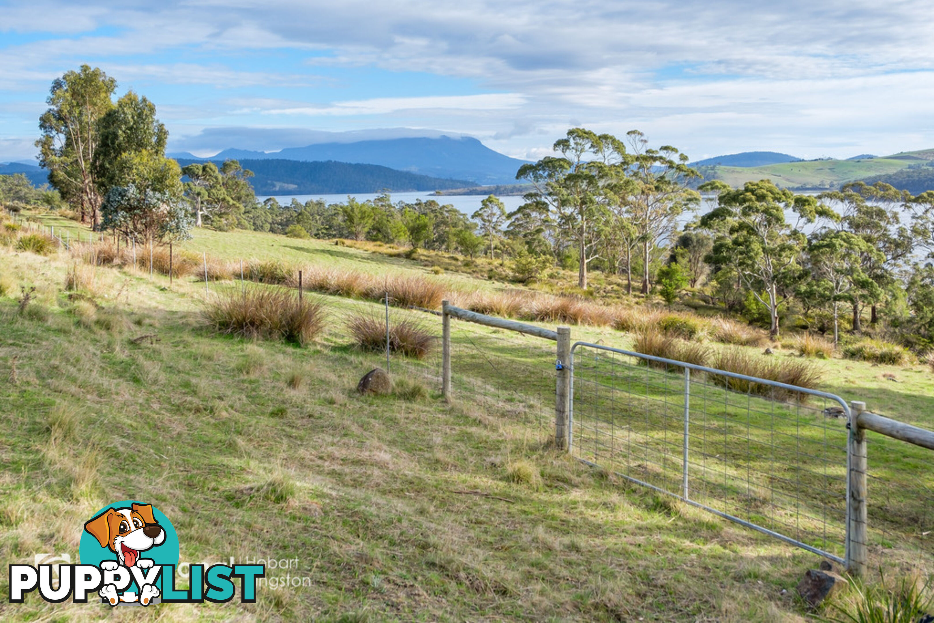 341 Lennon Road NORTH BRUNY TAS 7150