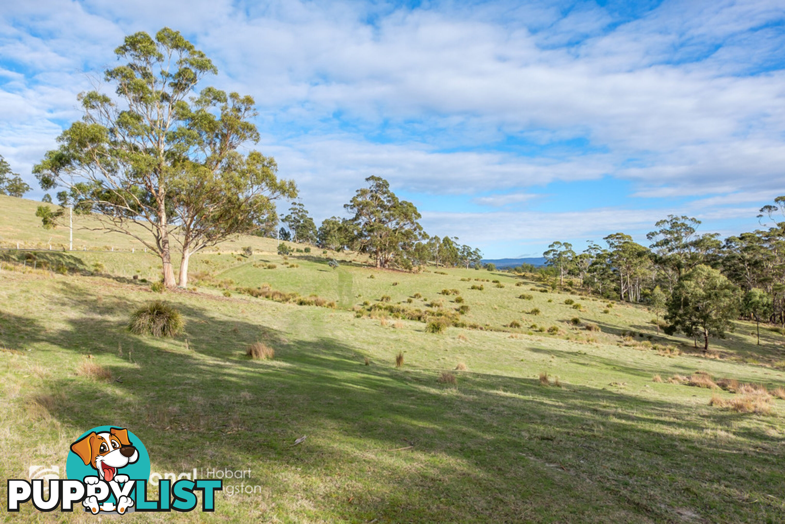 341 Lennon Road NORTH BRUNY TAS 7150