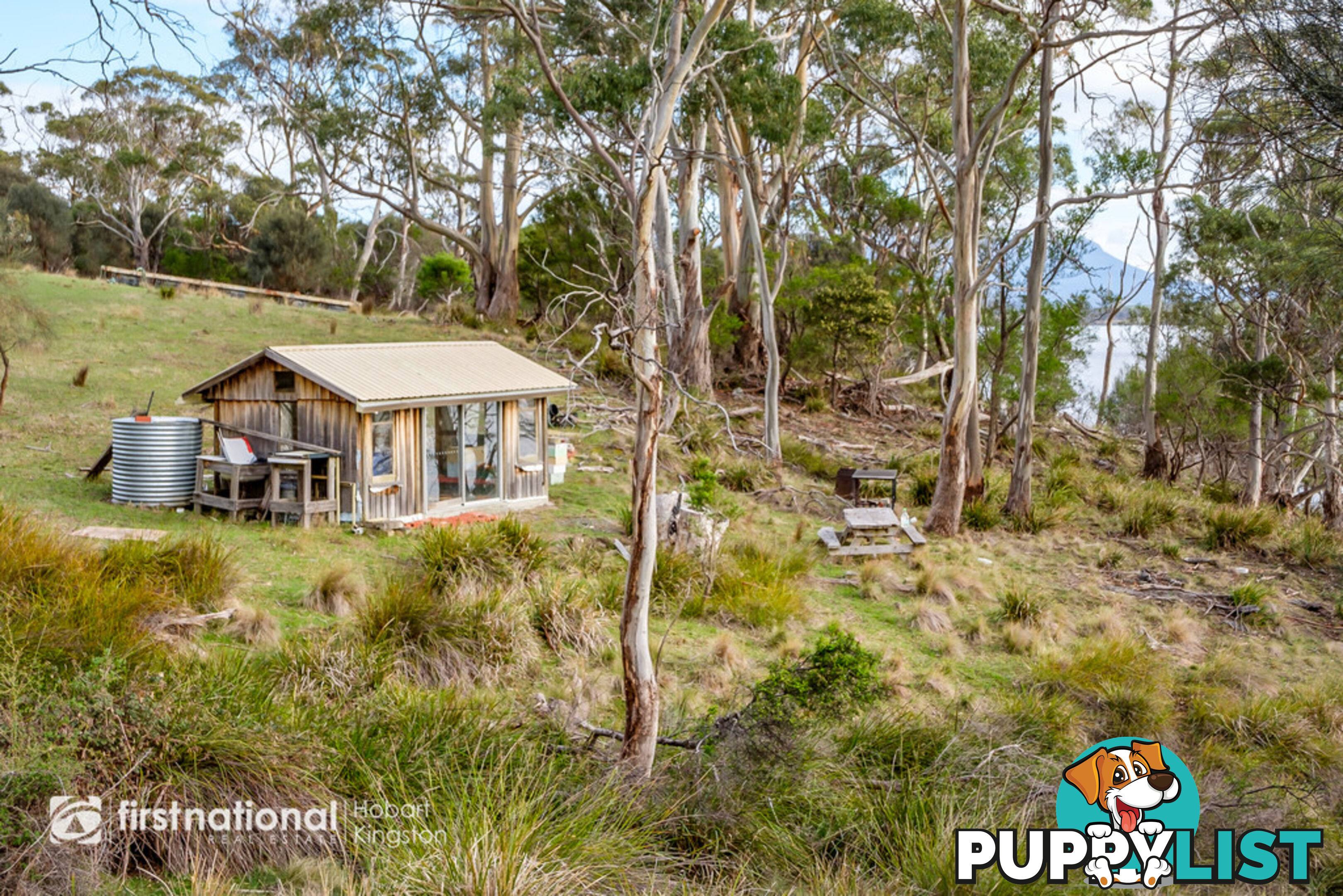 341 Lennon Road NORTH BRUNY TAS 7150