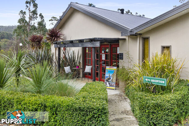 42 Manuka Road OYSTER COVE TAS 7150