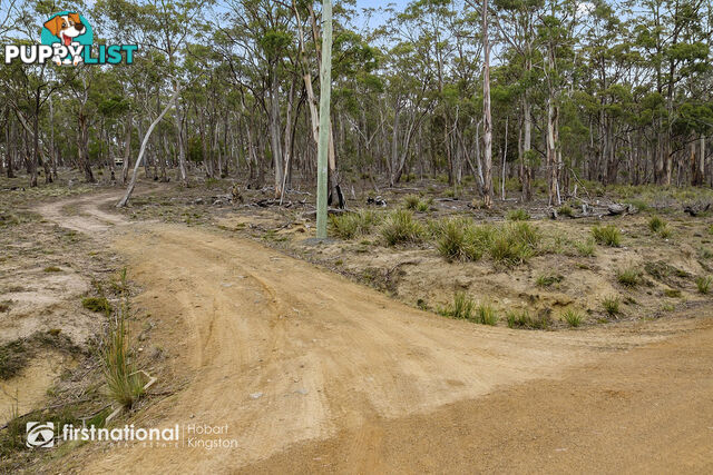 Lot 3 Apollo Bay Road APOLLO BAY TAS 7150