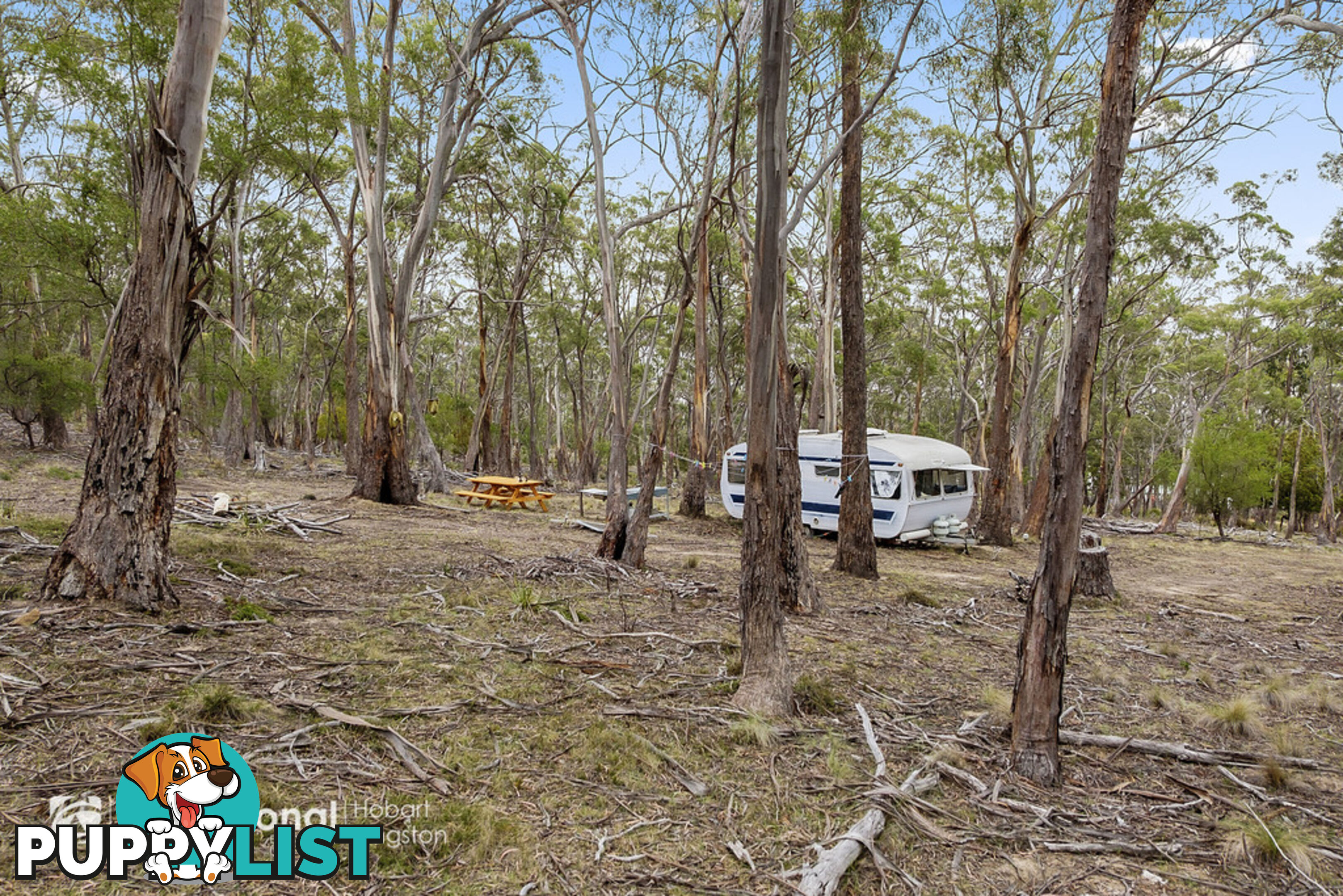 Lot 3 Apollo Bay Road APOLLO BAY TAS 7150