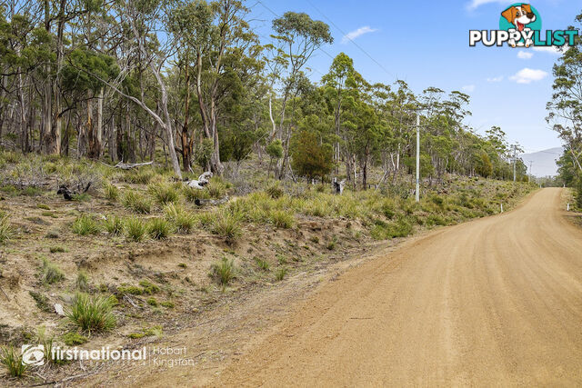 Lot 3 Apollo Bay Road APOLLO BAY TAS 7150