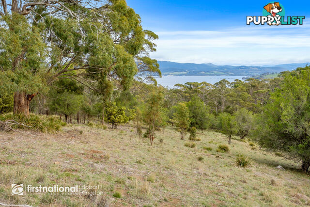 Lot 2 Bruny Island Main Road NORTH BRUNY TAS 7150