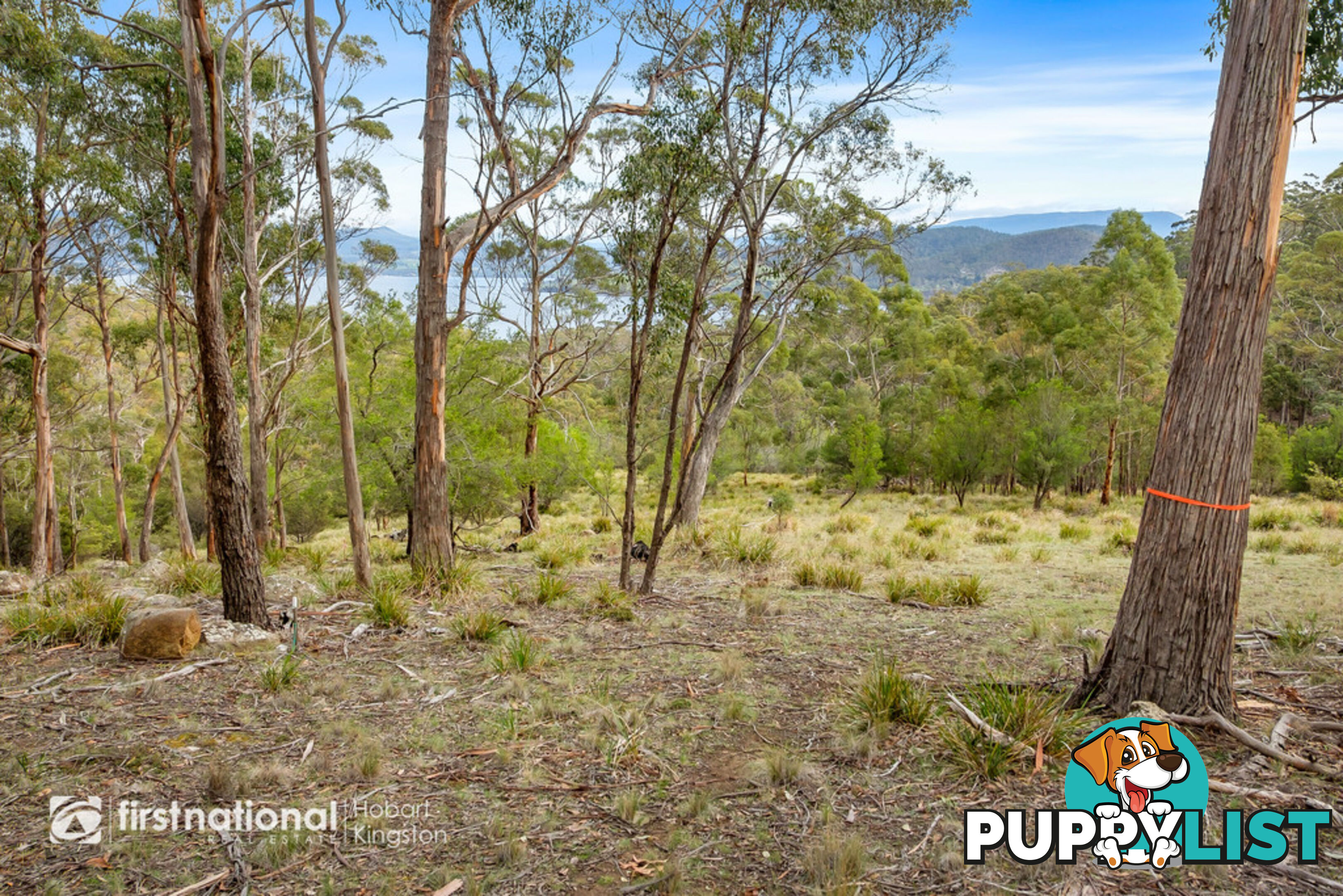 Lot 2 Bruny Island Main Road NORTH BRUNY TAS 7150