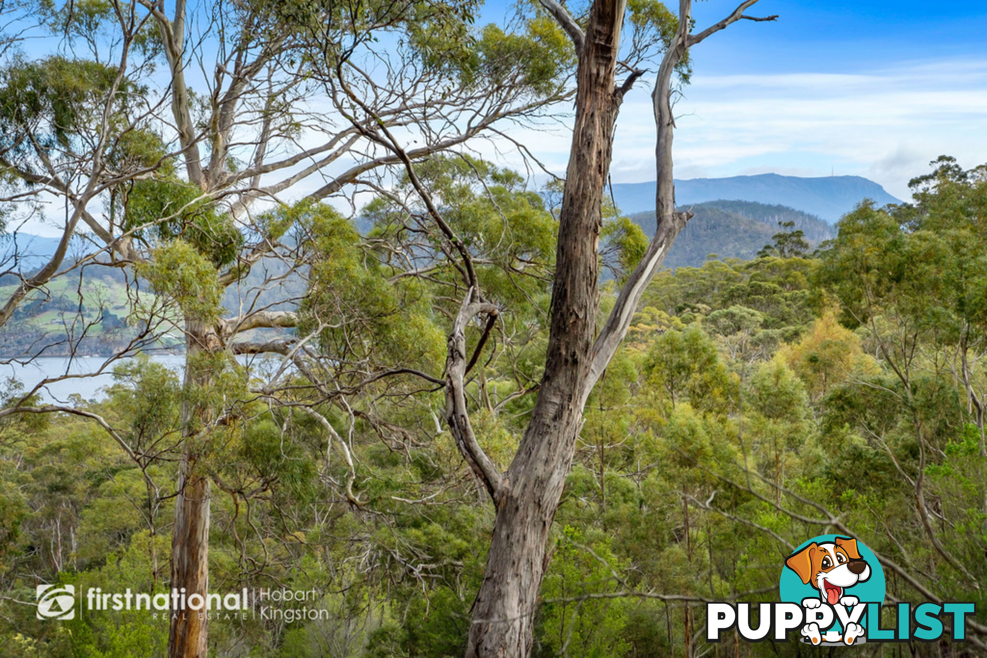 Lot 2 Bruny Island Main Road NORTH BRUNY TAS 7150