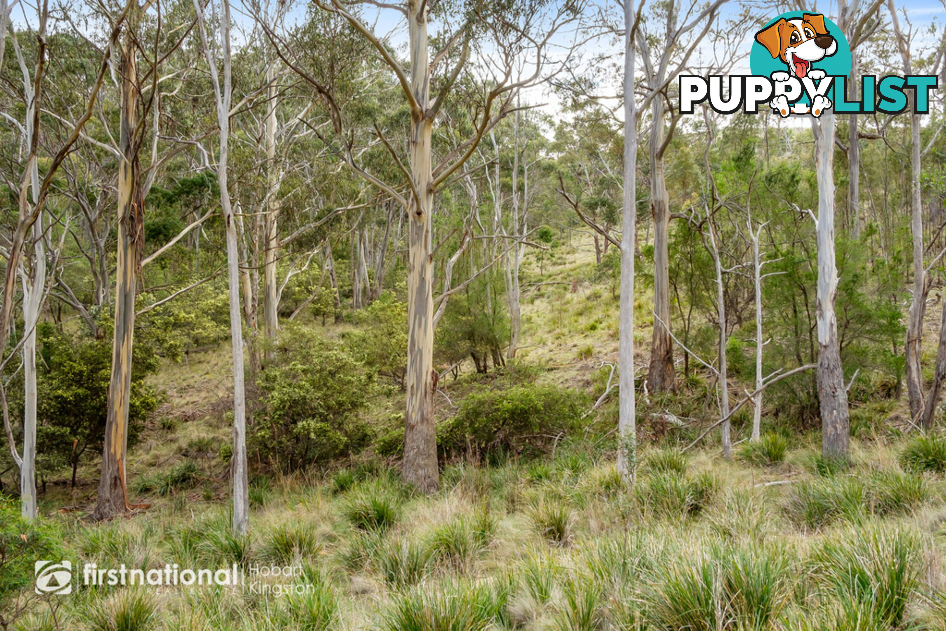 Lot 2 Bruny Island Main Road NORTH BRUNY TAS 7150