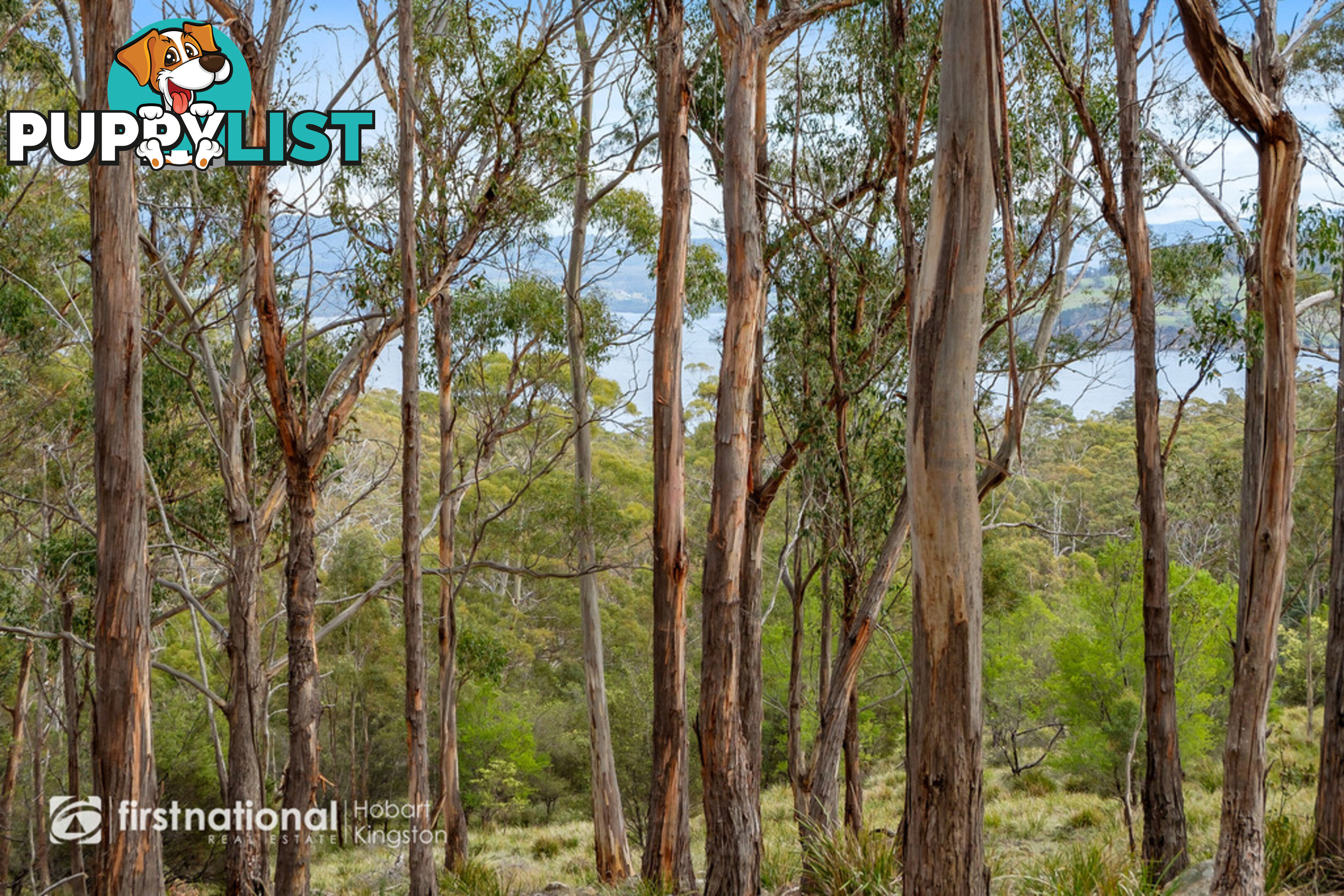 Lot 2 Bruny Island Main Road NORTH BRUNY TAS 7150